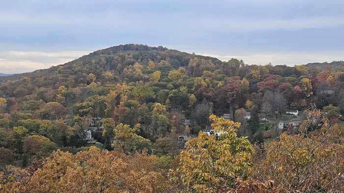 Sweetcake Mountain Lake Reserve Picture 8