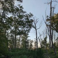 Great Swamp Canoe/Kayak Launch ico