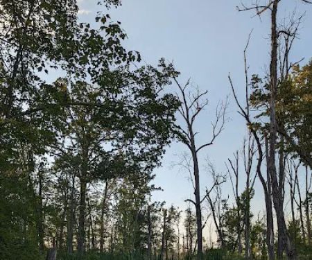 Great Swamp Canoe/Kayak Launch