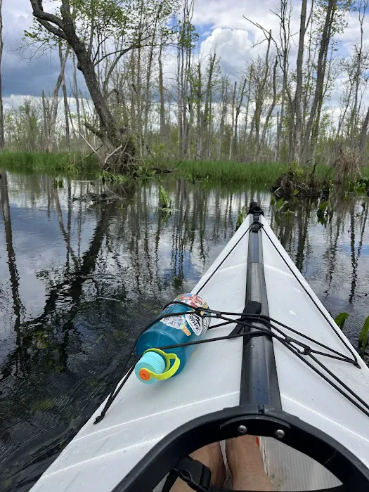 Great Swamp Canoe/Kayak Launch Picture 9