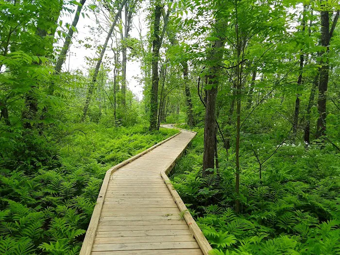 Great Swamp Canoe/Kayak Launch Picture 7