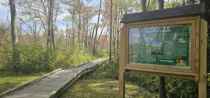 Great Swamp Canoe/Kayak Launch Picture 6
