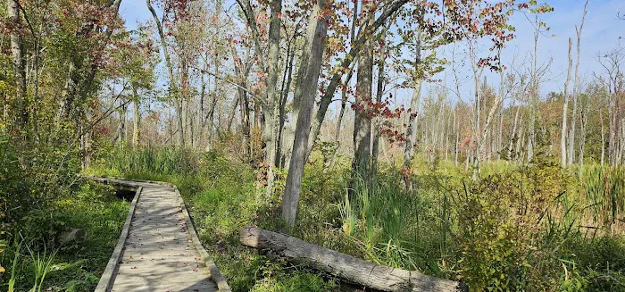 Great Swamp Canoe/Kayak Launch Picture 8