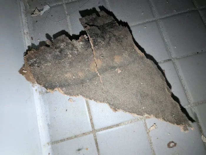 Bundy Hill Mold House Picture 6