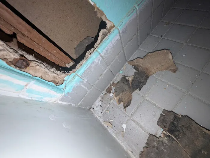 Bundy Hill Mold House Picture 5