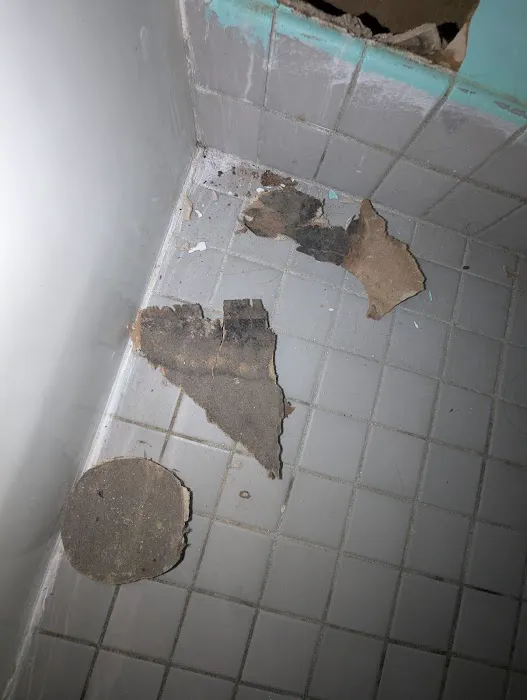 Bundy Hill Mold House Picture 4