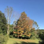 Edward R Murrow Memorial Park