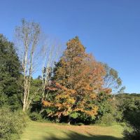 Edward R Murrow Memorial Park ico