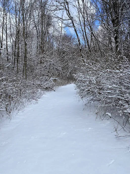 Edward R Murrow Memorial Park Picture 6