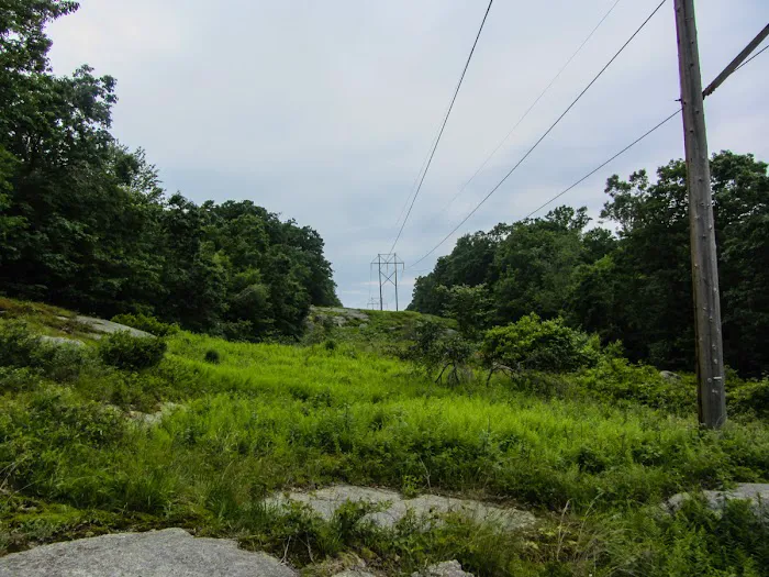 Depot Hill Multiple Use Area Picture 10