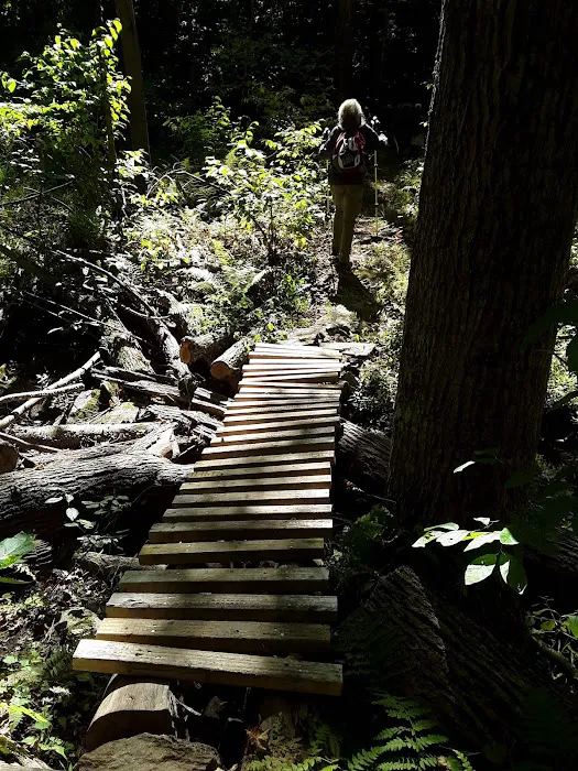 Michael Ciaiola Conservation “Fireman’s” Mountain Bike Trails Picture 2