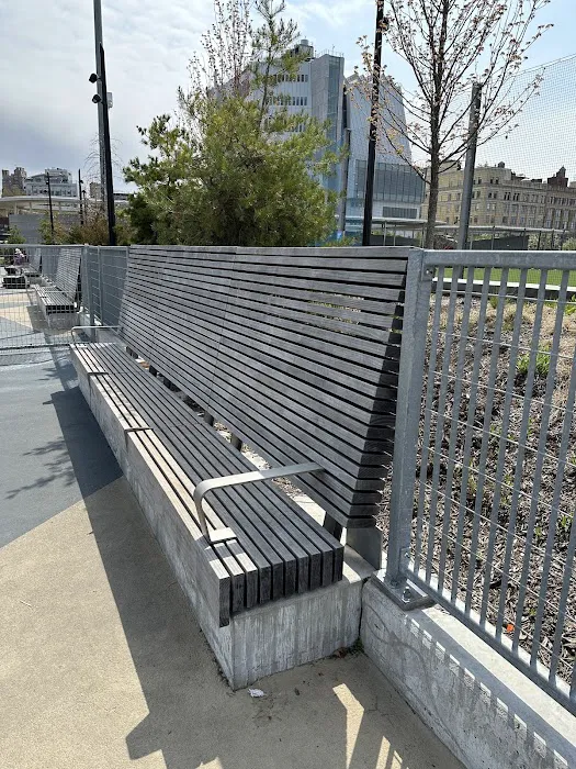 Gansevoort Peninsula Small Dog Park Picture 10