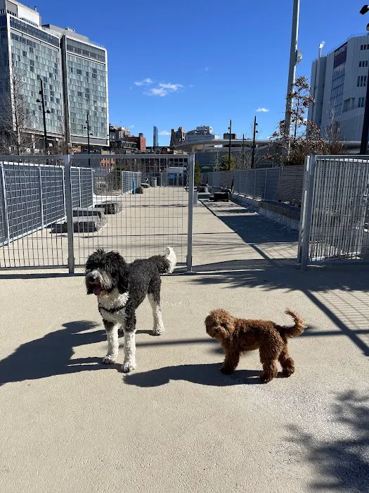 Gansevoort Peninsula Small Dog Park Picture 8