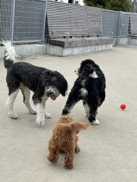Gansevoort Peninsula Small Dog Park Picture 1