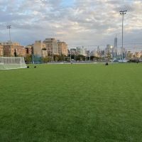 Gansevoort Peninsula ico