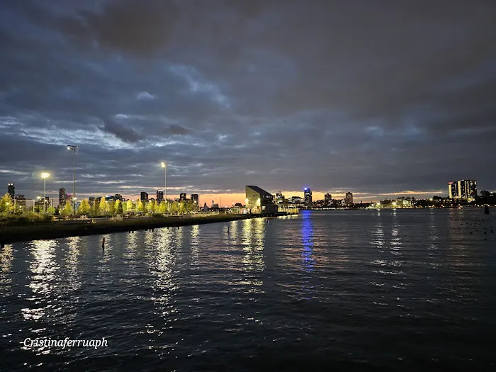 Gansevoort Landing Picture 6