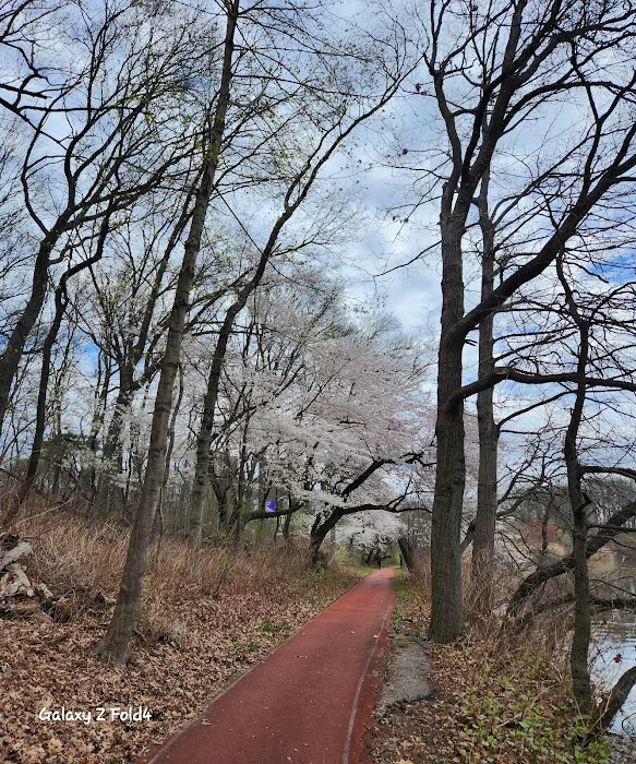 Weequahic Lake Trail Picture 9