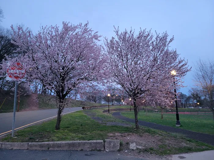 Weequahic Park Picture 10