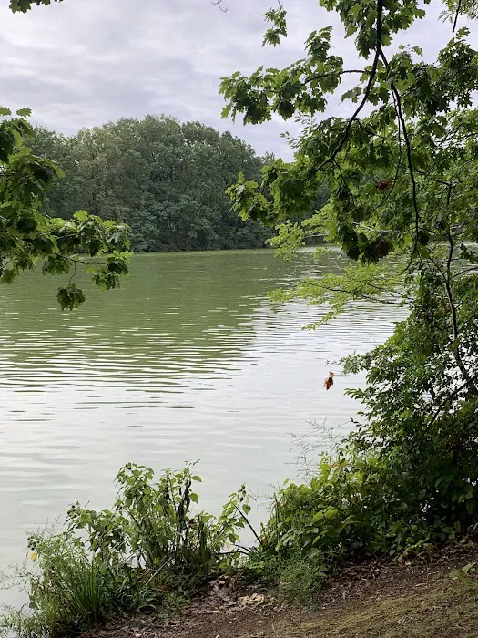 Weequahic Park Picture 3