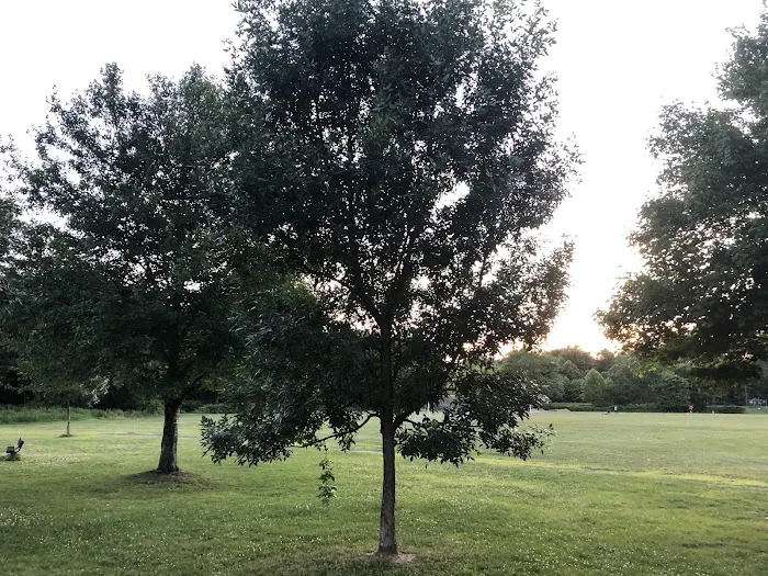 Rutgers Avenue Park Picture 6