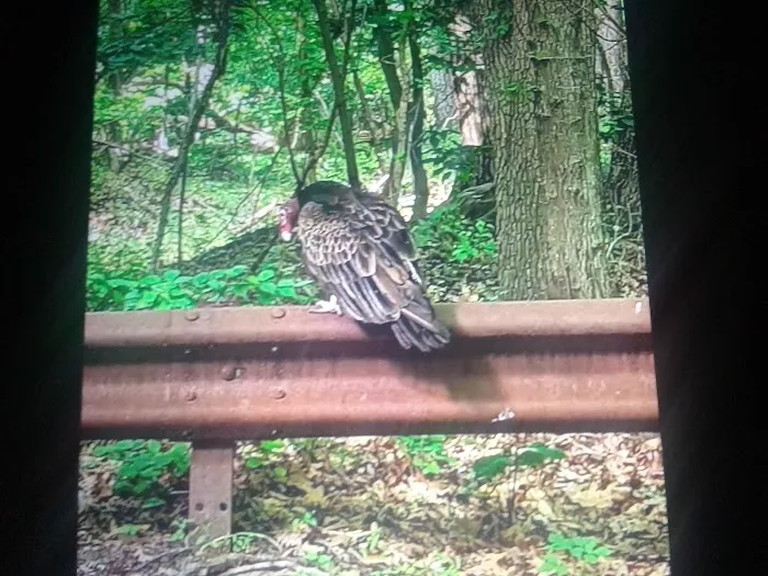 Kingdom Pond Park Picture 2