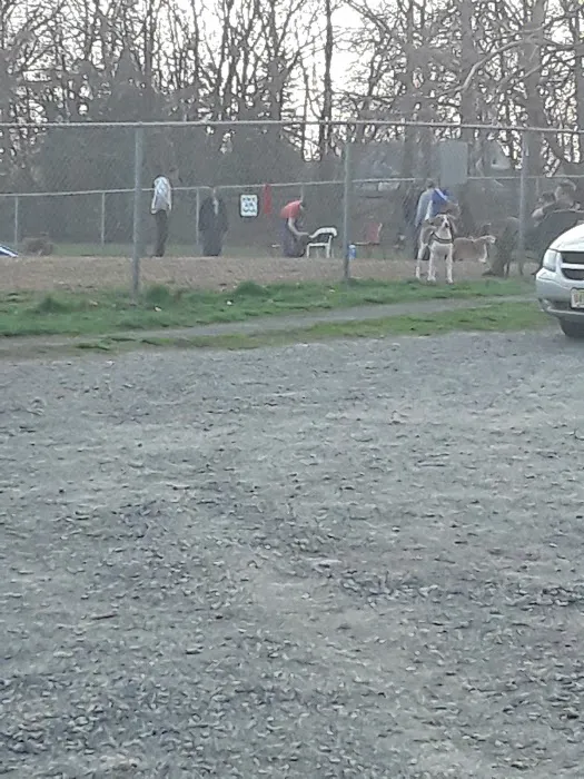 Woodbridge Dog Park Picture 7