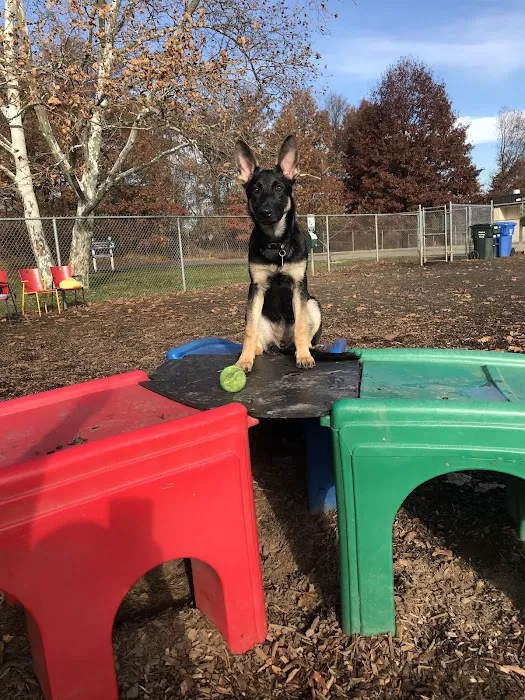 Woodbridge Dog Park Picture 10