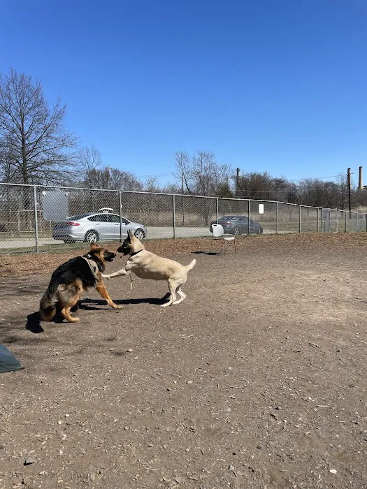 Woodbridge Dog Park Picture 5
