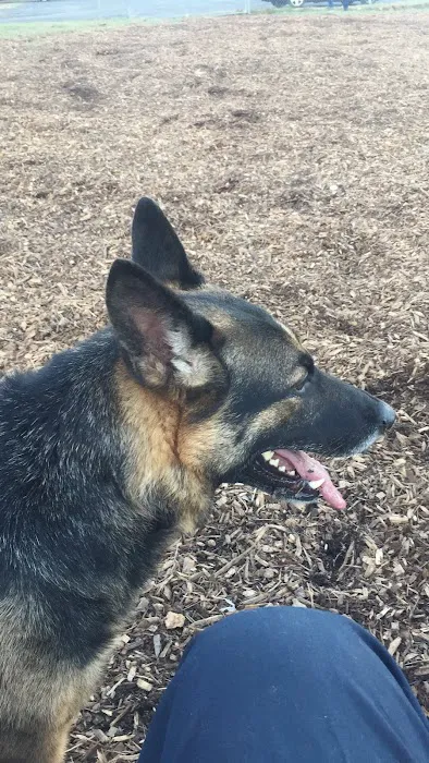 Woodbridge Dog Park Picture 8