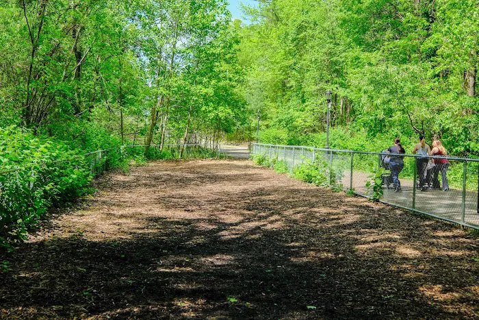 Bloomingdale Dog Run Picture 9