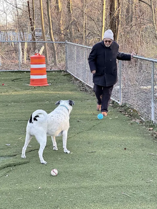 Bloomingdale Dog Run Picture 5