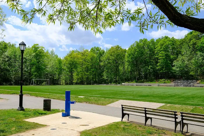 Bloomingdale Park Youth Soccer Field Picture 3