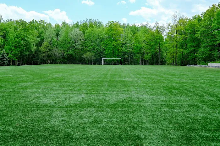 Bloomingdale Park Youth Soccer Field Picture 2