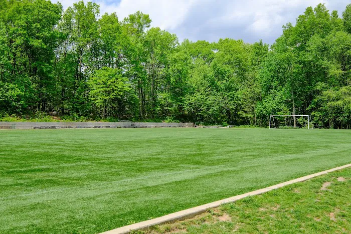 Bloomingdale Park Youth Soccer Field Picture 7