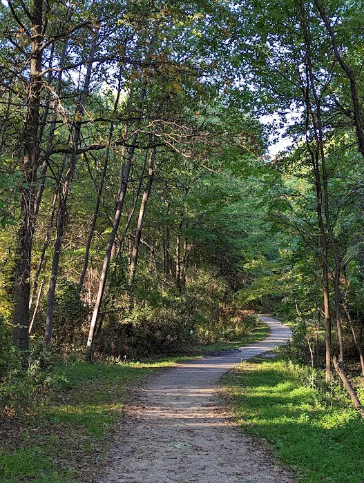 Bloomingdale Park Picture 4