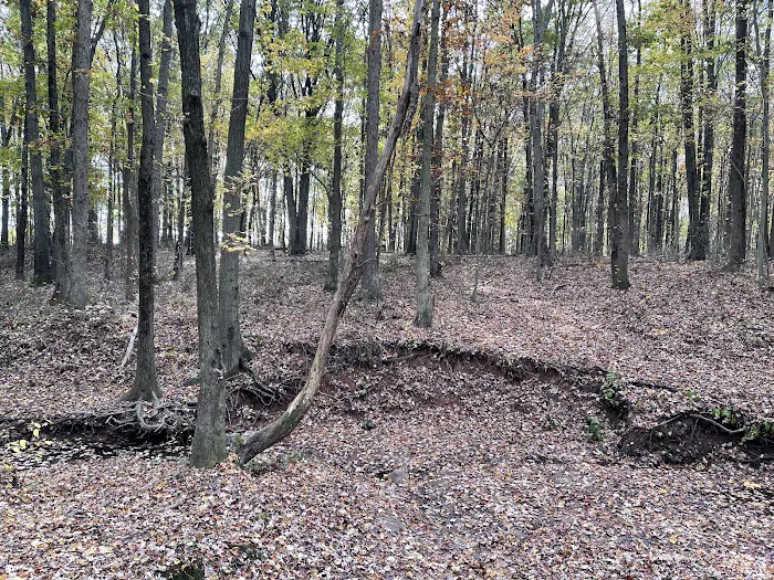 Bloomingdale Park Picture 3