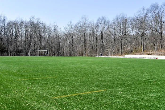 Bloomingdale Park Picture 8