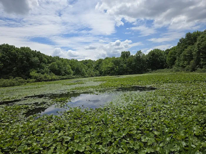 Clay Pit Ponds State Park Picture 9