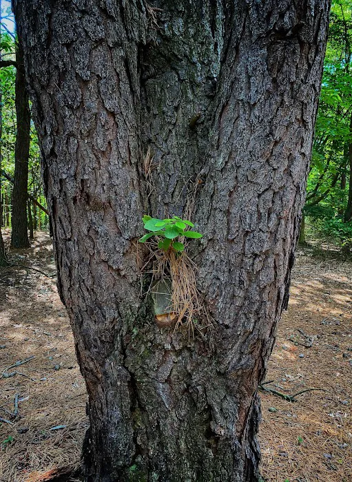 Clay Pit Ponds State Park Picture 10