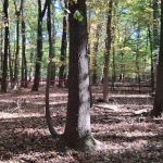 Clay Pit Ponds State Park