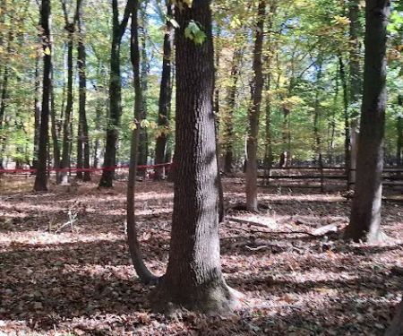 Clay Pit Ponds State Park