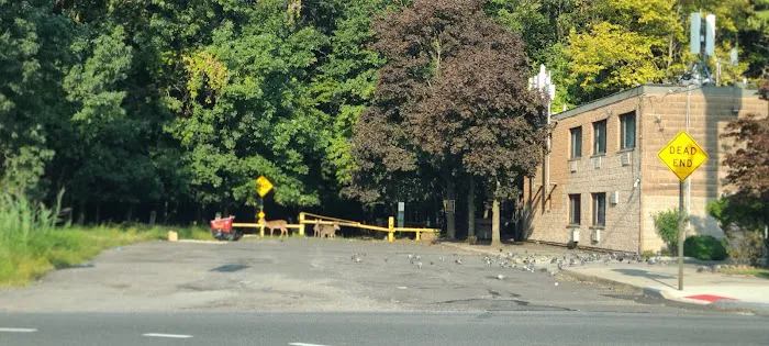 West Shore Motel Picture 6