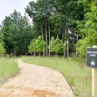 Sandy Ground Woods ico