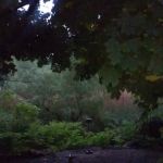 Bloessers Pond State Wetland Conservation Area