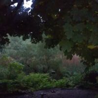 Bloessers Pond State Wetland Conservation Area ico