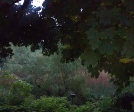 Bloessers Pond State Wetland Conservation Area