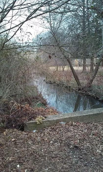 Bloessers Pond State Wetland Conservation Area Picture 3