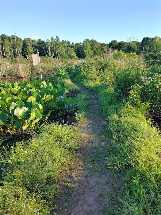 Ernest L. Oros Park Picture 5