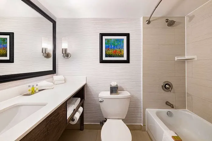 Comfort Suites at Woodbridge Picture 1