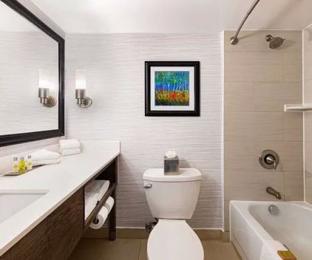 Comfort Suites at Woodbridge